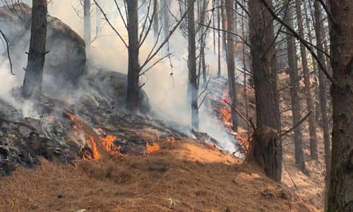 Atención: Petro activa protocolo internacional por los incendios forestales del país