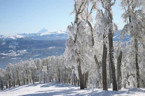 Accidente de avioneta en el Cerro Chapelco: Cuatro heridos