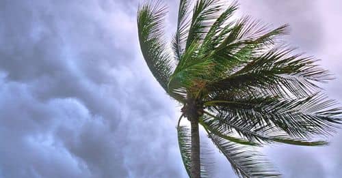 Aeroméxico advierte posibles afectaciones en sus rutas por tormenta tropical Alberto