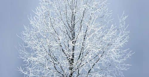 Alerta roja por frío extremo en el norte del país