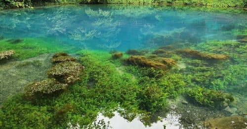 AMLO busca declarar la zona de Calica como área natural protegida