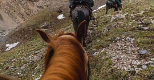 Andrea Legarreta encuentra consuelo en su caballo Aquiles tras momentos difíciles