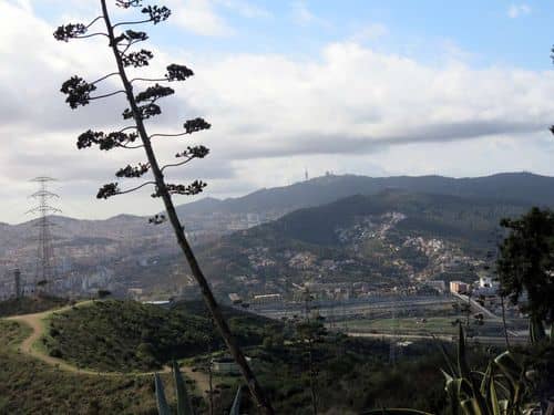 Barcelona homenajea a Manuel Vital, el hombre que puso a Torre Baró en el mapa