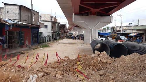 Barreras en el Tren Maya ponen en riesgo a especies protegidas