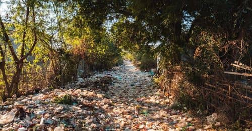 Basura en Bogotá: Una ciudad asediada por los desechos