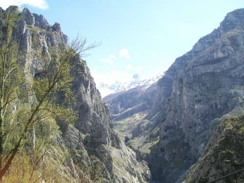 Camarmeña, un destino de ensueño en los Picos de Europa