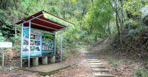 Centenar de animales rescatados del tráfico ilegal encuentran un nuevo hogar en la Reserva Yurumí