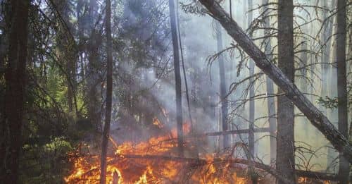 Colombia arde en llamas: 23 incendios activos devastan casi 20.000 hectáreas de bosques