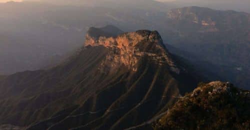 Crisis por calor extremo afecta a monos en el sureste de México