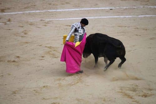 Cuatro corridas de toros en la Feria de Hogueras de Alicante 2024, con Manzanares, Roca Rey y Enrique Ponce