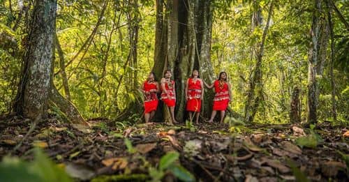 Cumbre Indígena Pre-COP16: Pueblos Indígenas Exigen Reconocimiento de Conocimientos Tradicionales