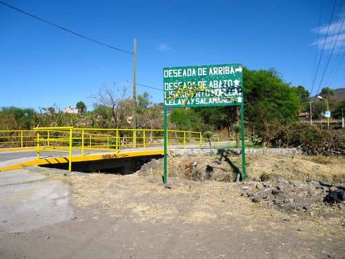 Desmantelan complejo cocalero del 'Clan del Golfo' en Antioquia: Incautan toneladas de cocaína