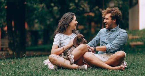 Día Mundial del Perro: Celebrando el vínculo entre humanos y caninos