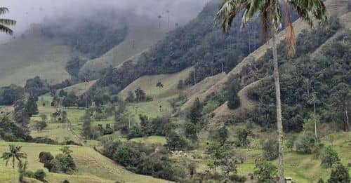 Disidencias de las FARC secuestran comerciante en Caquetá: Familiares y autoridades exigen su liberación