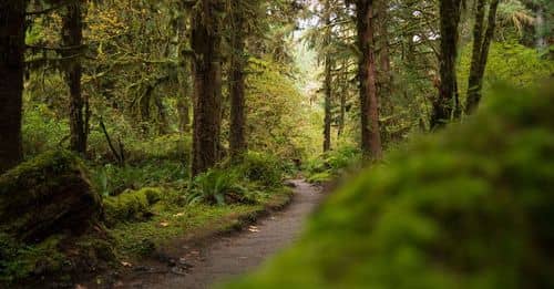 Ecoturismo en Cali: Planes económicos y cercanos a la naturaleza durante la COP16