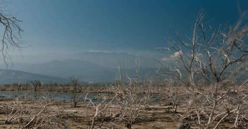 El calor extremo se cobra más de 1.170 vidas en España