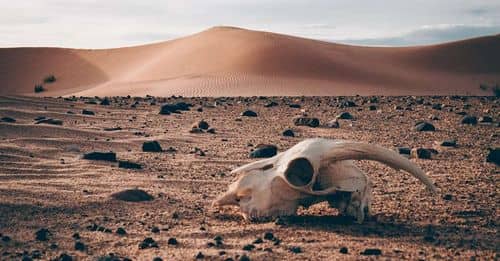 El calor extremo, un asesino en serie que no podemos detener