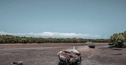 El nivel de agua en las presas de México se encuentra en su punto más bajo en años