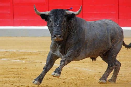 El PP denuncia la cancelación del Premio Nacional de Tauromaquia como una "deriva autoritaria" del Gobierno