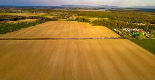 Eliminación de Impuestos Impulsaría el Área Sembrada de Trigo en Argentina