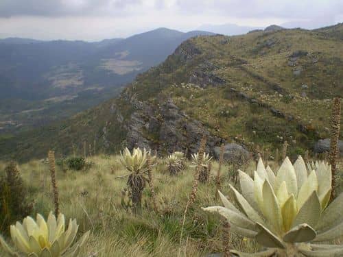 Escaso nivel del embalse de Chuza: cambios en el turno 3 de racionamiento