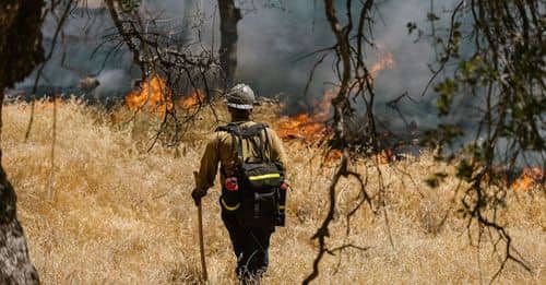 España frena los grandes incendios en 2024: se quema un 41% menos que en la última década