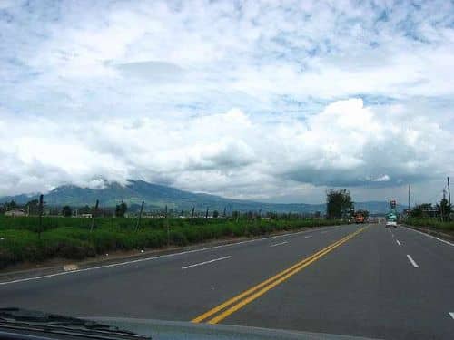 Estampida de caballos paraliza la Panamericana en Argentina