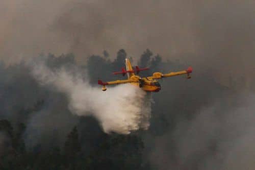 Incendio forestal en Tarifa, Cádiz, es combatido por los bomberos ante fuertes vientos