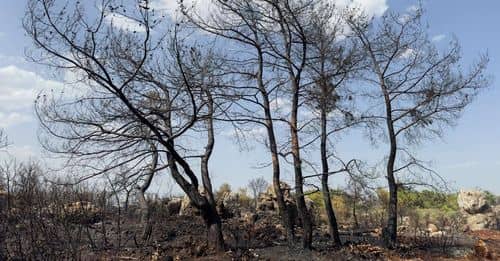 Incendios forestales en el Quindío: Alerta en Circasia ante emergencia en Autopista del Café