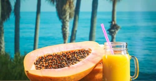 La piña: Un manjar tropical con innumerables beneficios para la salud