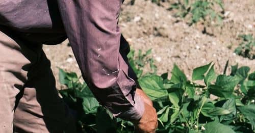 "Los agricultores exigen medidas para frenar la crisis del campo"