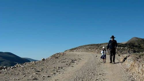 Los campos de cempasúchil de Nuevo León: un espectáculo de color y tradición