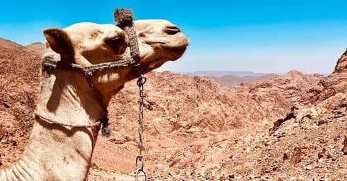 Marzo, el mes más caluroso en España en 62 años, y abril arranca con temperaturas inusualmente altas