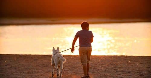 Mascotas: Aliadas en el desarrollo emocional de los niños