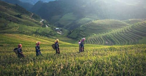 Mujeres colombianas, clave en la construcción de paz a través de la reforma agraria