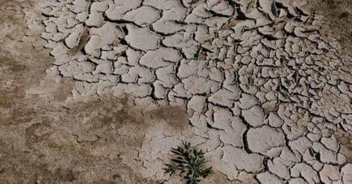 Ola de calor azota a México: Varios estados superan los 45 grados centígrados