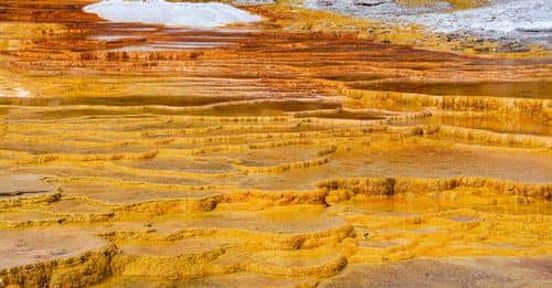 Yellow Stones in Yellowstone National Park