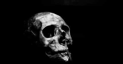 Grayscale Photography of Human Skull