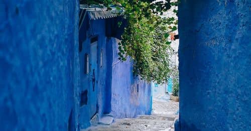 Blue Wall Alley