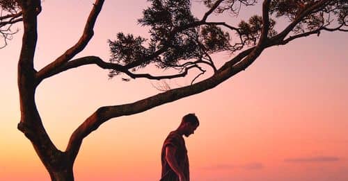 A Photography Of A Man Standing On A Tree