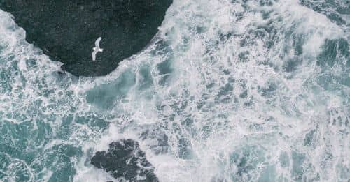 Top view of amazing scenery of foamy sea and seagull flying over rolling wave near rocky shore in stormy weather