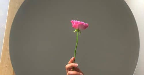 Mirror reflecting tender hand with pink rose