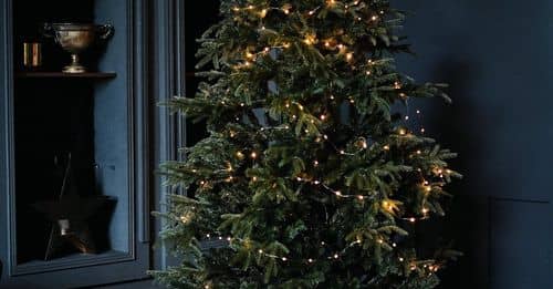 Tall green Christmas tree decorated with small glowing garlands and surrounded by shelves and bunch of boxes with gifts in dark room