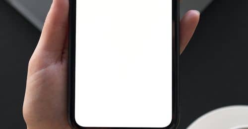 Person Holding Mobile Phone with Blank Screen 