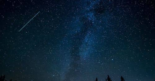 Silhouette of Trees during Nighttime