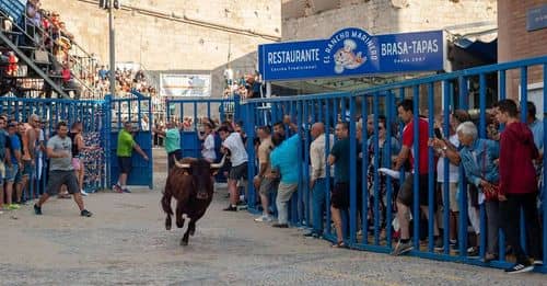 Primer encierro de San Fermín: tensión y seis heridos