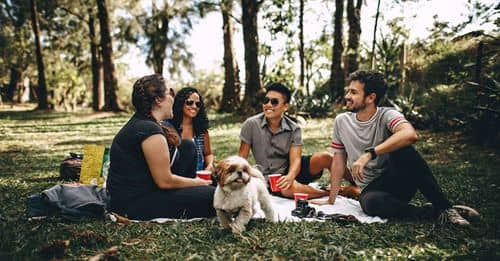 Restaurantes y cafeterías pet friendly en la CDMX para celebrar el Día del Perro