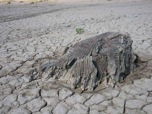 Restricciones de agua en Bogotá: EAAB anuncia cortes a partir del 26 de mayo