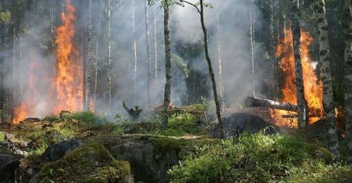 Retirada de medios aéreos en incendio de Cerro Muriano por aumento del viento