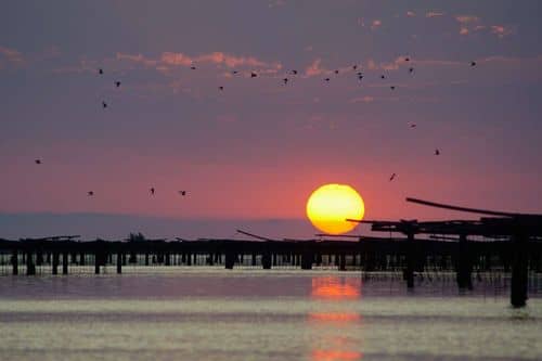 Sale el Sol renueva su imagen y estrena conductores